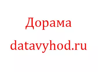 366 дней